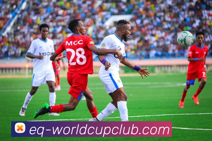 世界杯官方投注平台生态图